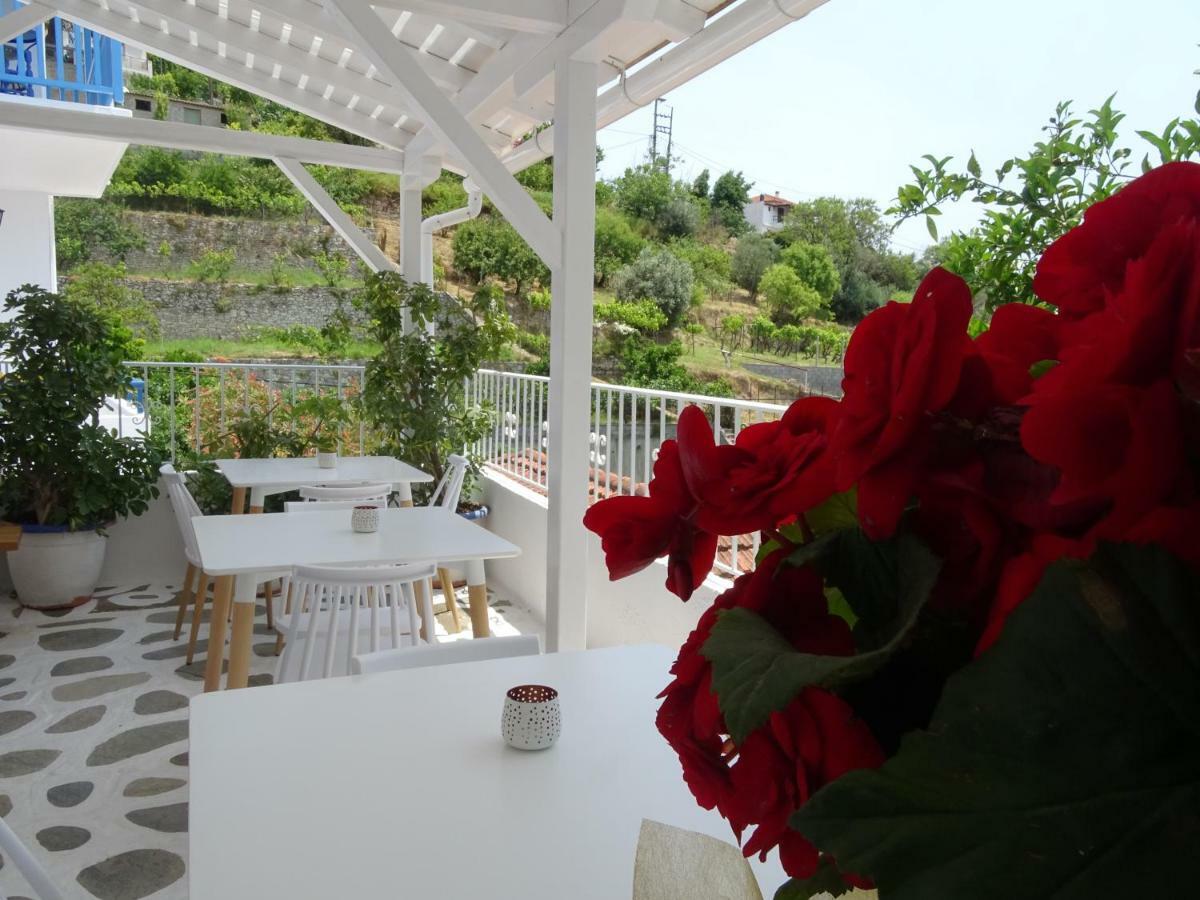 אפרטהוטל פטיטיריון Galini Hellenic Hospitality מראה חיצוני תמונה
